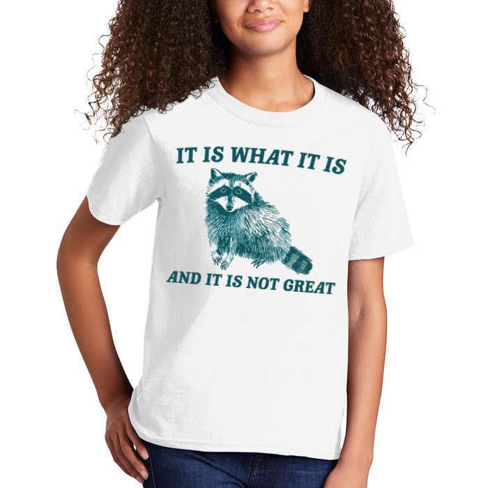 It Is What It Is And It Is Not Great Kids T-Shirt