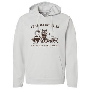 It Is What It Is And It Is Not Great Raccoon Performance Fleece Hoodie