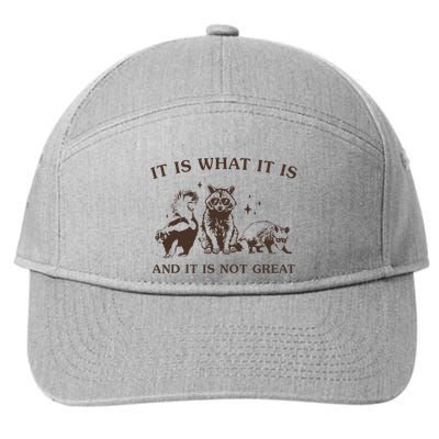 It Is What It Is And It Is Not Great Raccoon 7-Panel Snapback Hat