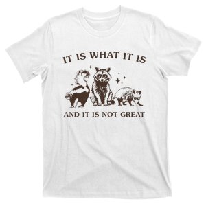 It Is What It Is And It Is Not Great Raccoon T-Shirt