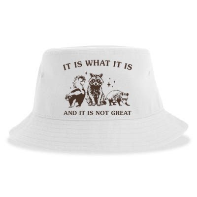 It Is What It Is And It Is Not Great Raccoon Sustainable Bucket Hat