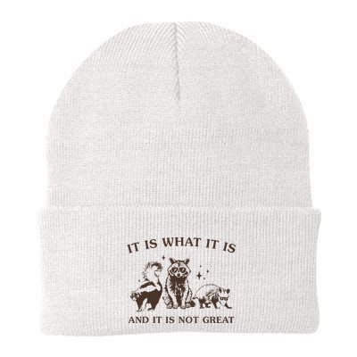It Is What It Is And It Is Not Great Raccoon Knit Cap Winter Beanie