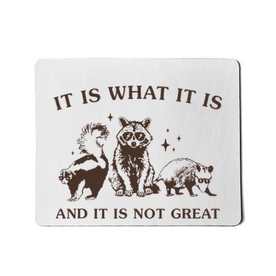 It Is What It Is And It Is Not Great Raccoon Mousepad
