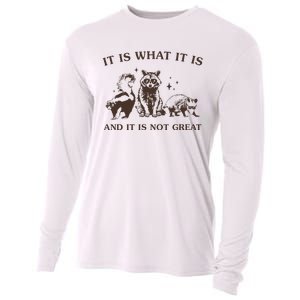 It Is What It Is And It Is Not Great Raccoon Cooling Performance Long Sleeve Crew