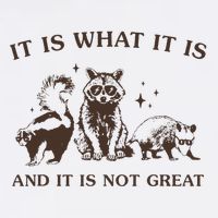 It Is What It Is And It Is Not Great Raccoon Poster