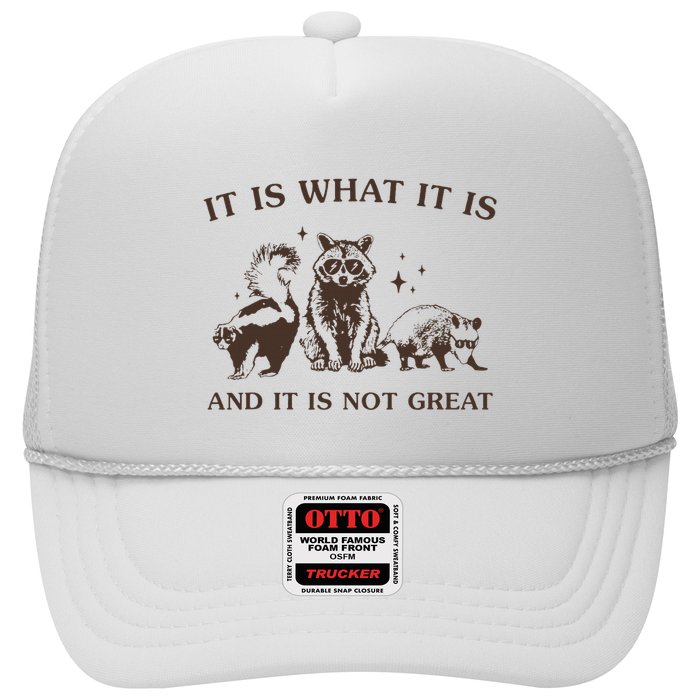 It Is What It Is And It Is Not Great Raccoon Trucker Hat