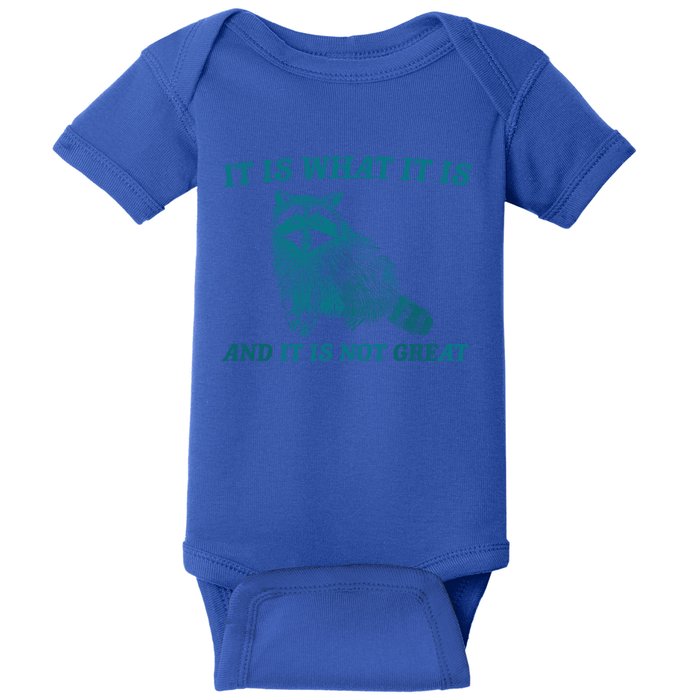 It Is What It Is And It Is Not Great Raccoon Trash Panda Gift Baby Bodysuit