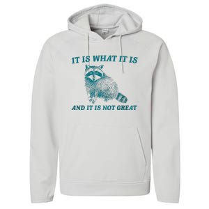 It Is What It Is And It Is Not Great Raccoon Trash Panda Performance Fleece Hoodie