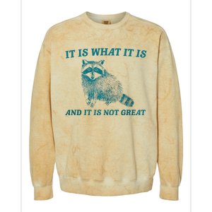 It Is What It Is And It Is Not Great Raccoon Trash Panda Colorblast Crewneck Sweatshirt