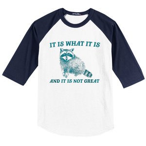 It Is What It Is And It Is Not Great Raccoon Trash Panda Baseball Sleeve Shirt