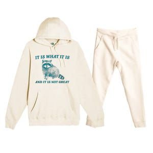 It Is What It Is And It Is Not Great Raccoon Trash Panda Premium Hooded Sweatsuit Set