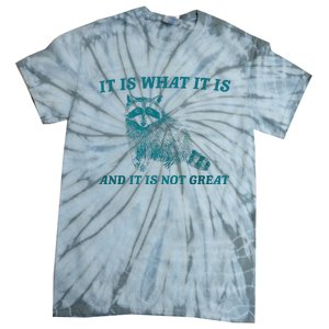 It Is What It Is And It Is Not Great Raccoon Trash Panda Tie-Dye T-Shirt