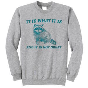 It Is What It Is And It Is Not Great Raccoon Trash Panda Tall Sweatshirt