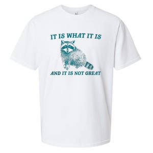 It Is What It Is And It Is Not Great Raccoon Trash Panda Sueded Cloud Jersey T-Shirt