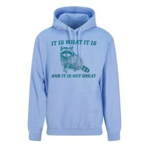 It Is What It Is And It Is Not Great Raccoon Trash Panda Unisex Surf Hoodie