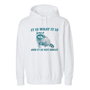 It Is What It Is And It Is Not Great Raccoon Trash Panda Garment-Dyed Fleece Hoodie