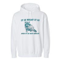 It Is What It Is And It Is Not Great Raccoon Trash Panda Garment-Dyed Fleece Hoodie