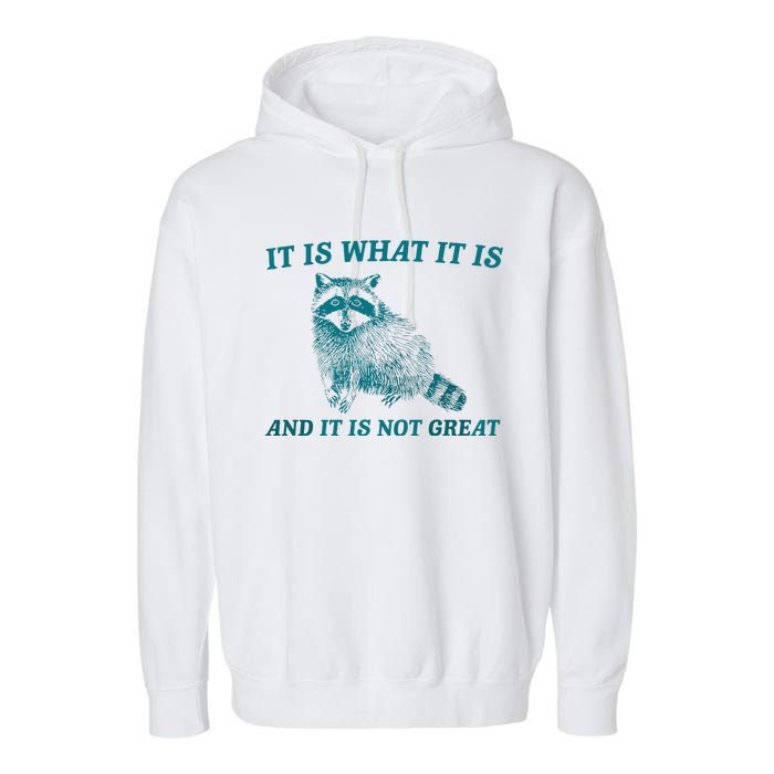 It Is What It Is And It Is Not Great Raccoon Trash Panda Garment-Dyed Fleece Hoodie