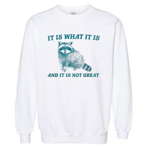 It Is What It Is And It Is Not Great Raccoon Trash Panda Garment-Dyed Sweatshirt