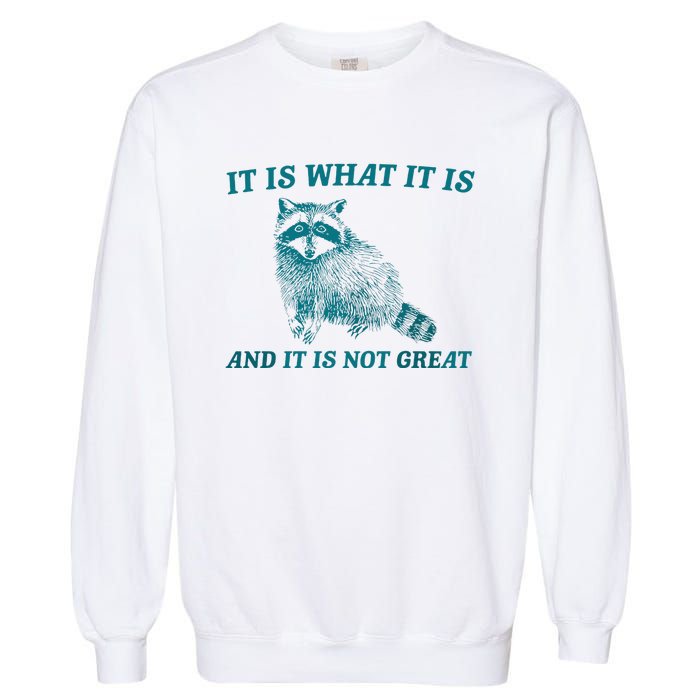 It Is What It Is And It Is Not Great Raccoon Trash Panda Garment-Dyed Sweatshirt