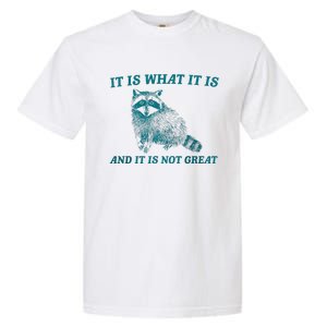 It Is What It Is And It Is Not Great Raccoon Trash Panda Garment-Dyed Heavyweight T-Shirt