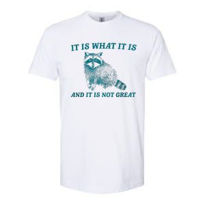 It Is What It Is And It Is Not Great Raccoon Trash Panda Softstyle CVC T-Shirt