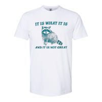 It Is What It Is And It Is Not Great Raccoon Trash Panda Softstyle CVC T-Shirt