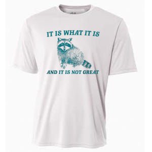 It Is What It Is And It Is Not Great Raccoon Trash Panda Cooling Performance Crew T-Shirt