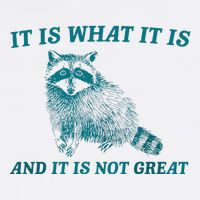 It Is What It Is And It Is Not Great Raccoon Trash Panda Cooling Performance Crew T-Shirt