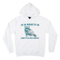 It Is What It Is And It Is Not Great Raccoon Trash Panda Hoodie