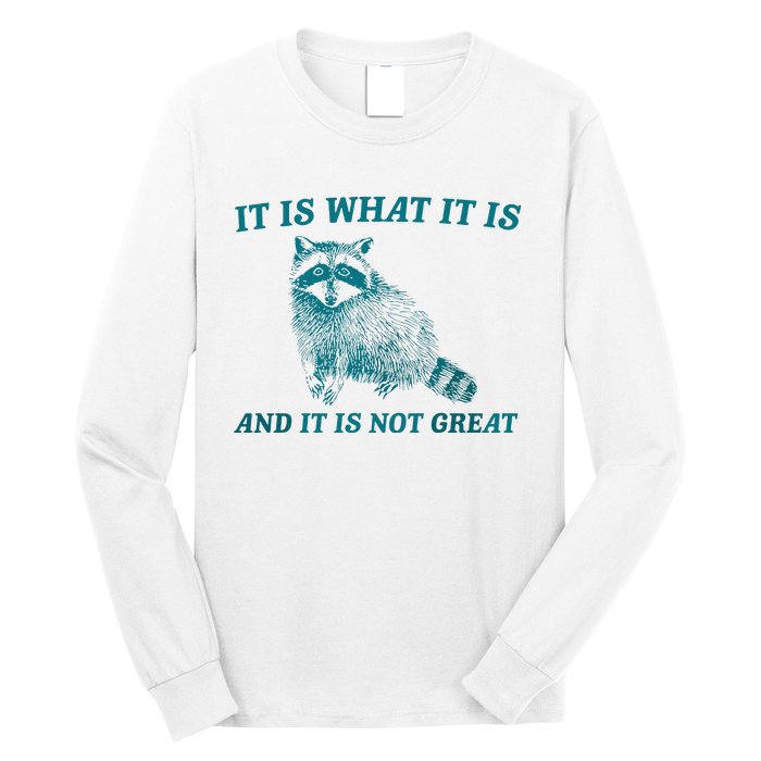 It Is What It Is And It Is Not Great Raccoon Trash Panda Long Sleeve Shirt