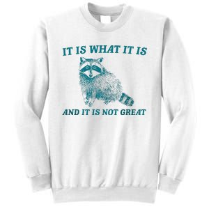 It Is What It Is And It Is Not Great Raccoon Trash Panda Sweatshirt