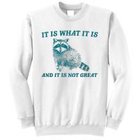 It Is What It Is And It Is Not Great Raccoon Trash Panda Sweatshirt