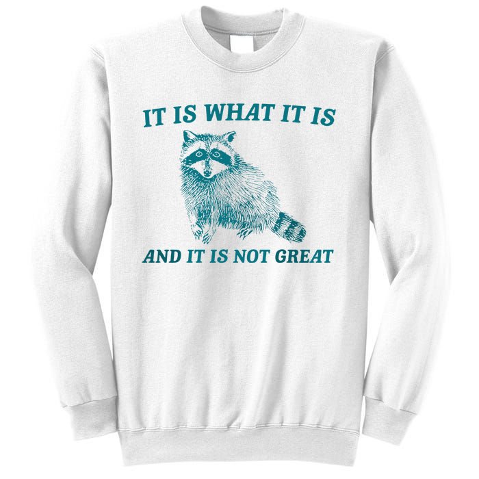 It Is What It Is And It Is Not Great Raccoon Trash Panda Sweatshirt