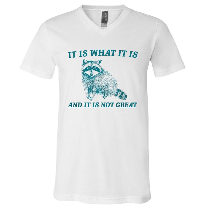 It Is What It Is And It Is Not Great Raccoon Trash Panda V-Neck T-Shirt