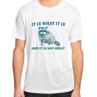 It Is What It Is And It Is Not Great Raccoon Trash Panda Adult ChromaSoft Performance T-Shirt