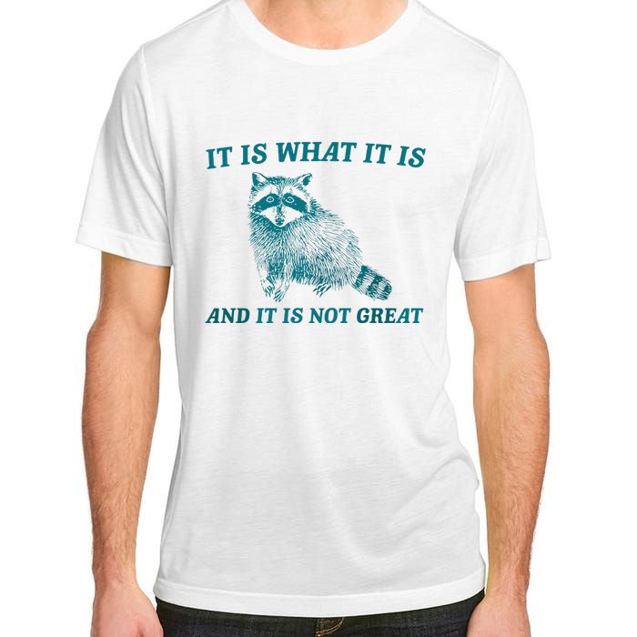 It Is What It Is And It Is Not Great Raccoon Trash Panda Adult ChromaSoft Performance T-Shirt