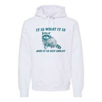 It Is What It Is And It Is Not Great Raccoon Trash Panda Premium Hoodie