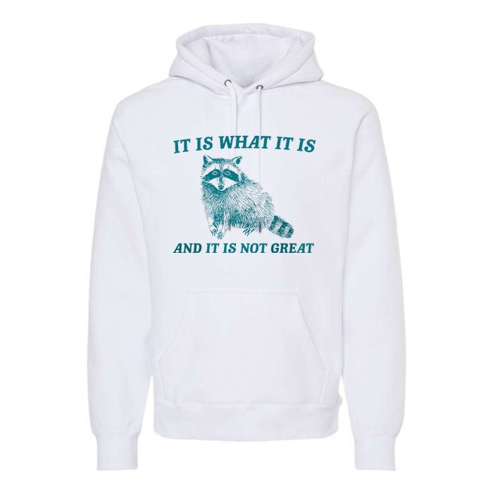 It Is What It Is And It Is Not Great Raccoon Trash Panda Premium Hoodie