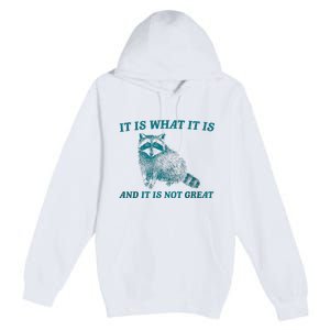 It Is What It Is And It Is Not Great Raccoon Trash Panda Premium Pullover Hoodie