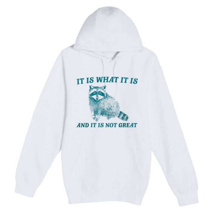 It Is What It Is And It Is Not Great Raccoon Trash Panda Premium Pullover Hoodie