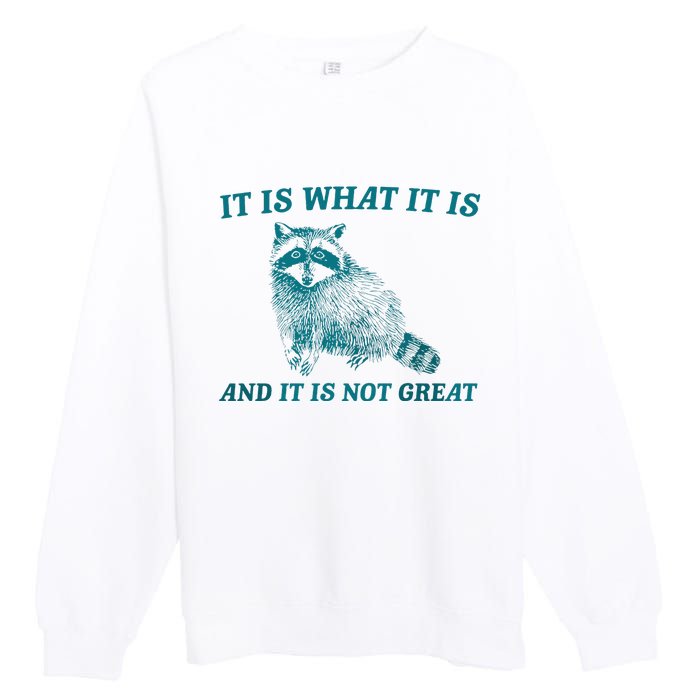 It Is What It Is And It Is Not Great Raccoon Trash Panda Premium Crewneck Sweatshirt