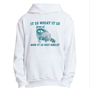 It Is What It Is And It Is Not Great Raccoon Trash Panda Urban Pullover Hoodie