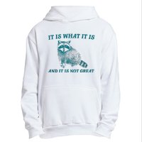 It Is What It Is And It Is Not Great Raccoon Trash Panda Urban Pullover Hoodie