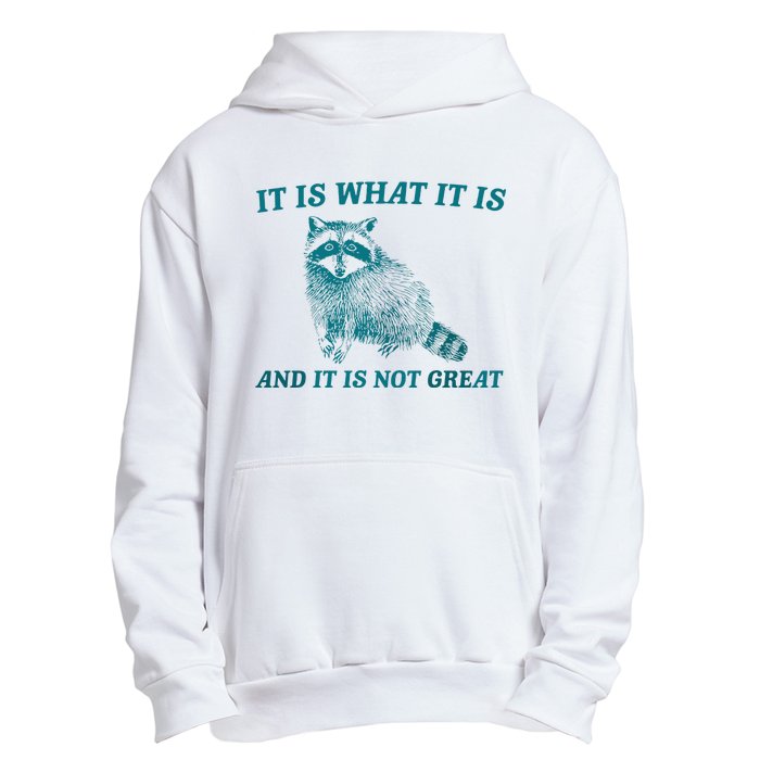 It Is What It Is And It Is Not Great Raccoon Trash Panda Urban Pullover Hoodie