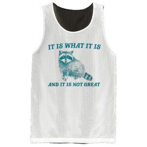 It Is What It Is And It Is Not Great Raccoon Trash Panda Mesh Reversible Basketball Jersey Tank