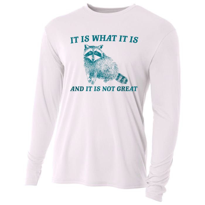 It Is What It Is And It Is Not Great Raccoon Trash Panda Cooling Performance Long Sleeve Crew