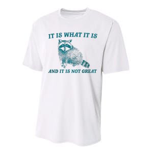 It Is What It Is And It Is Not Great Raccoon Trash Panda Performance Sprint T-Shirt