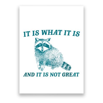 It Is What It Is And It Is Not Great Raccoon Trash Panda Poster