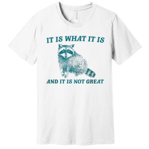 It Is What It Is And It Is Not Great Raccoon Trash Panda Premium T-Shirt